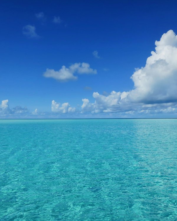 Où trouver les meilleures plages pour la plongée libre avec les dauphins aux Bahamas?